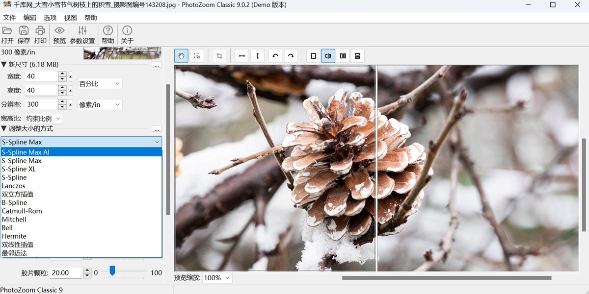 PhotoZoom Classic 9截图4 PhotoZoom Classic 9截图4