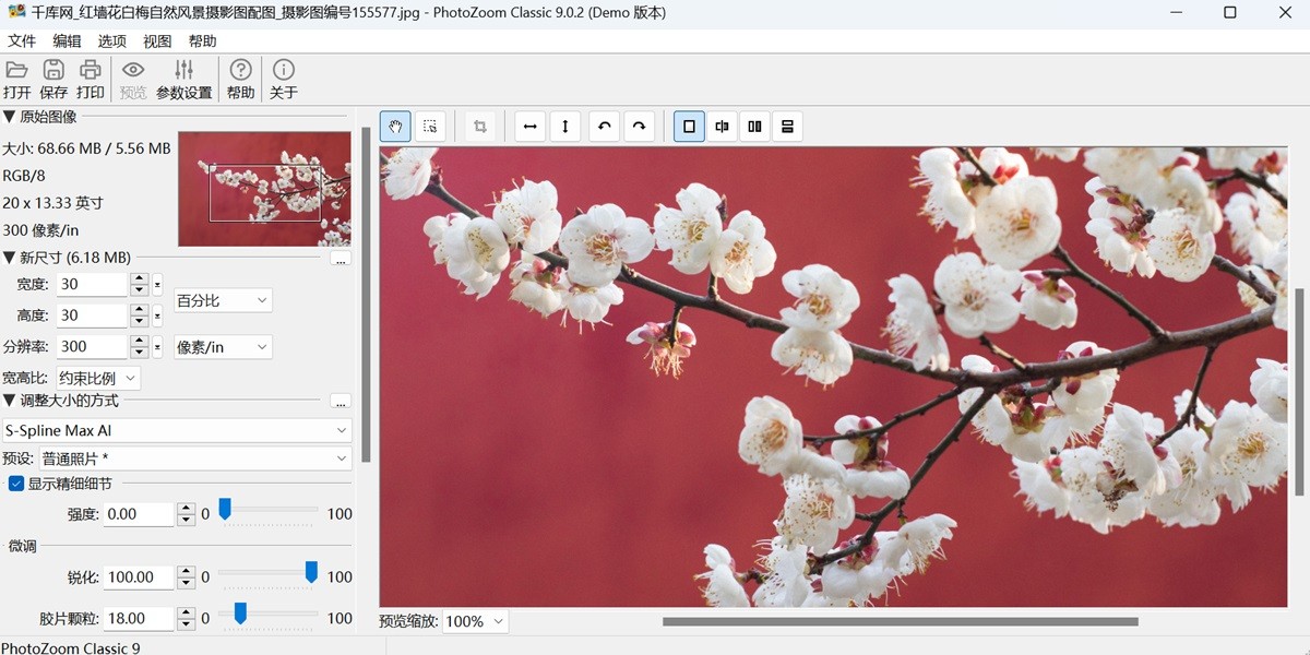 PhotoZoom Classic 9截图2 PhotoZoom Classic 9截图2