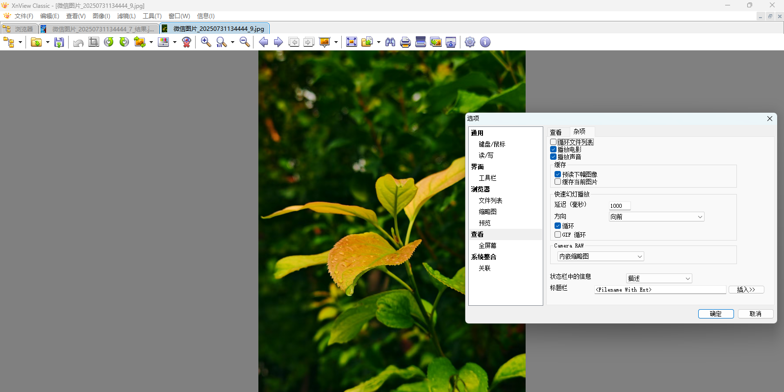 XnView Classic��ͼ3