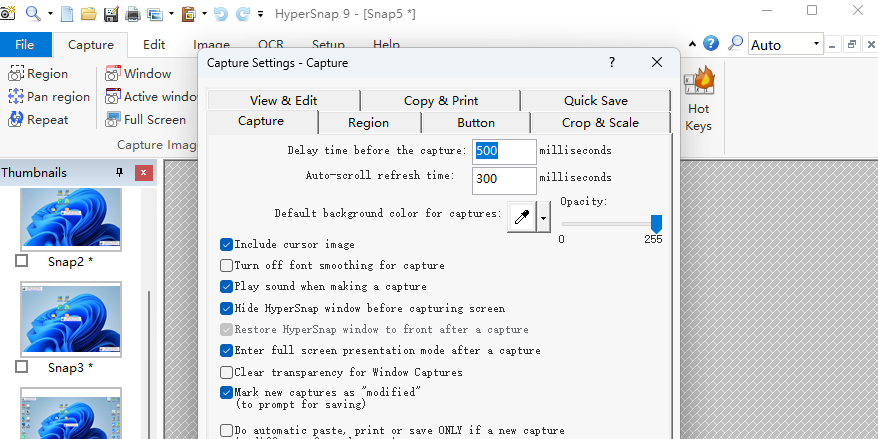 HyperSnap截图3 HyperSnap截图3