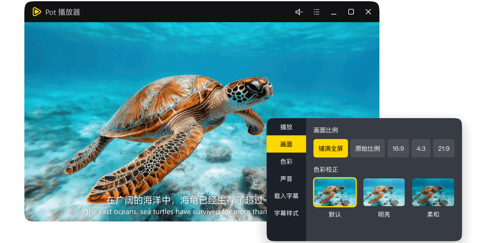 Pot��������ͼ5