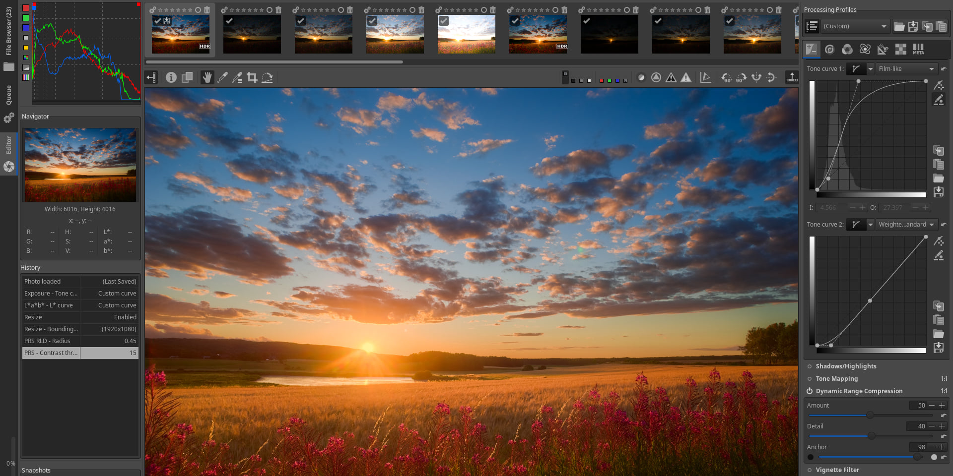 RawTherapee��ͼ1